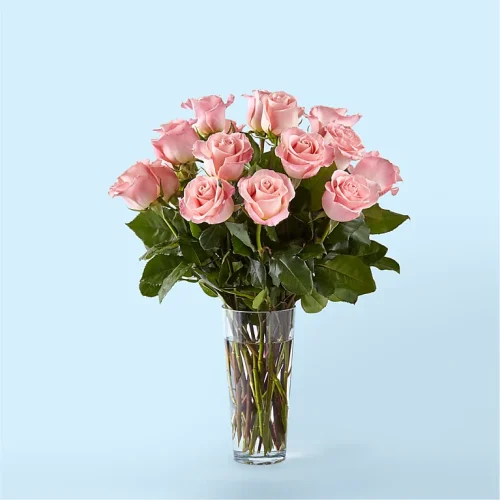 Blush Elegance Bouquet – Pink Roses