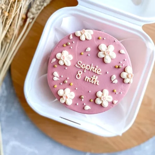 Sophie 8 Months HBD Mini Bento Cake - Pink
