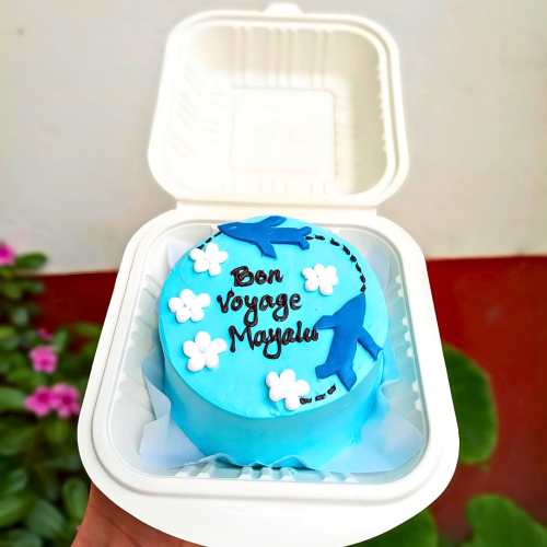 Bon Voyage Mini Bento Cake - Sky Blue