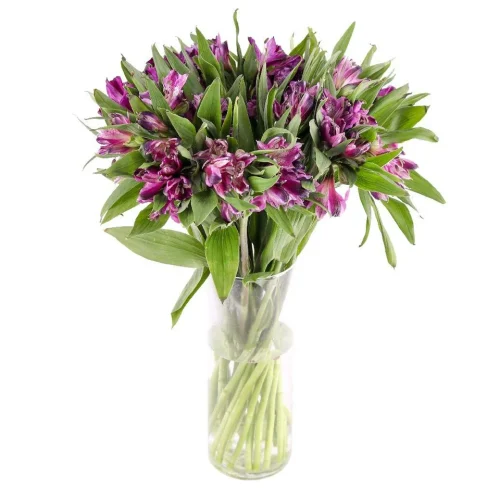 Purple Alstroemeria Elegance Flower vase arrangements