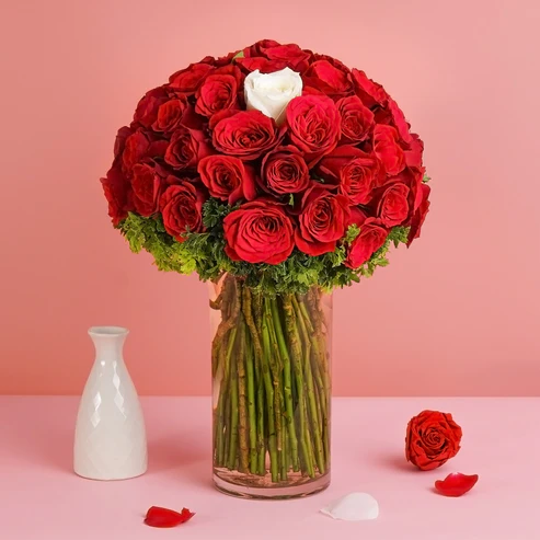 Unique 50pcs Rose Symphony