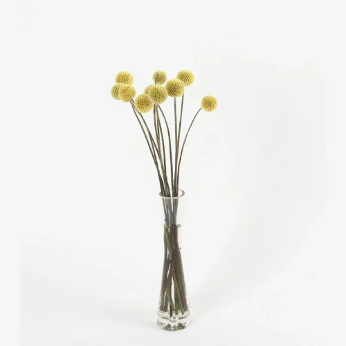 Golden Glow Craspedia Vase Arrangement - Table Decor