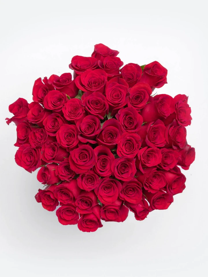 Vivid Charm 100pcs Red Rose Vase - Image 2