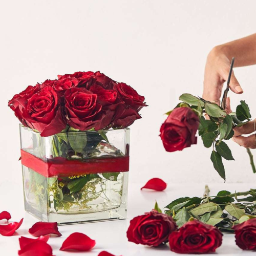 Scarlet Charm Red Rose Cube