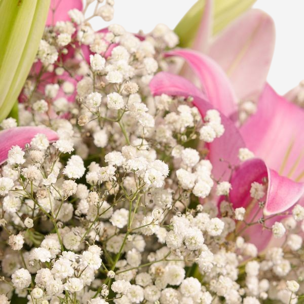 Blush Bloom – Pink Lily & Baby’s Breath Bouquet - Image 3