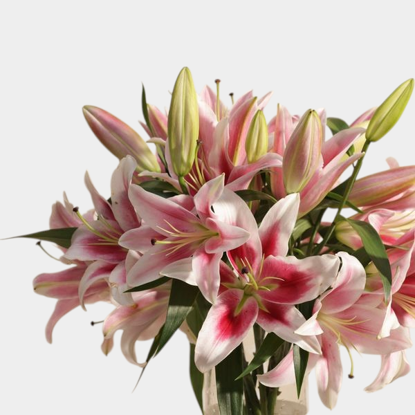 Elegant Pink Lily Vase β Timeless Beauty - Image 2