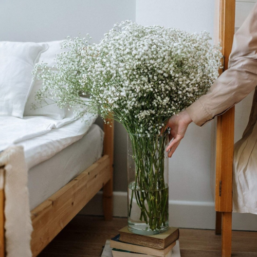 Cloud Kiss – Baby’s Breath in Tall Glass Vase