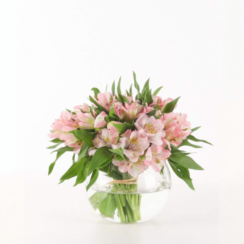 Alstroemeria pink with vase