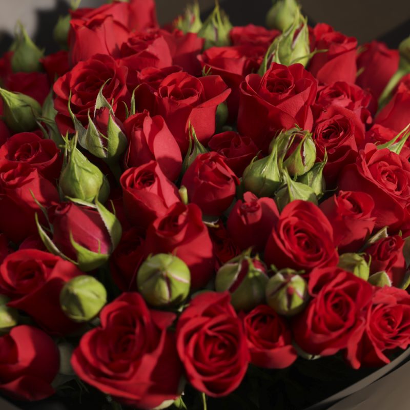 Crimson Elegance Baby Red Rose Bouquet - 18 Flowers - Image 3