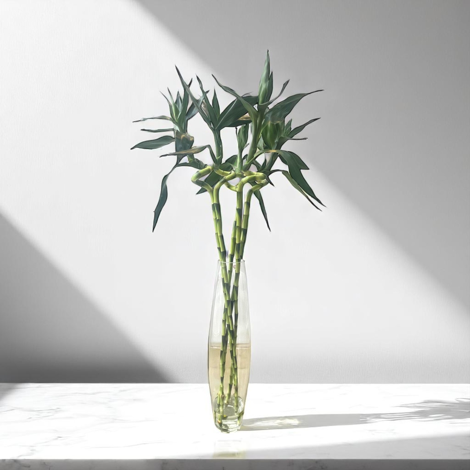 Zen Harmony – 5-Stalk Lucky Bamboo in Tall Glass Vase