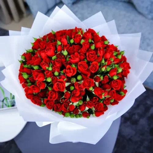 Crimson Deluxe – 50 Red Spray Roses Wrapped Elegantly