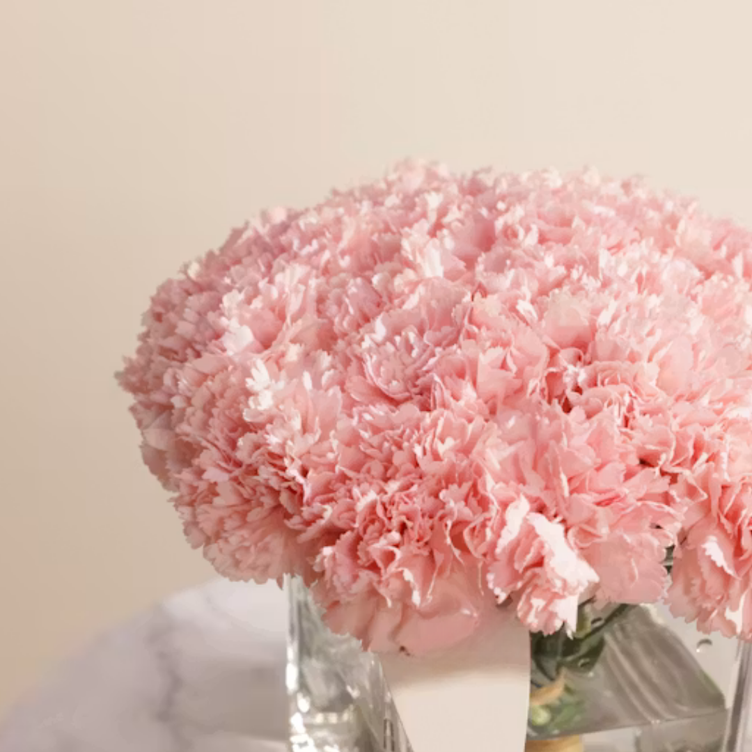 Soft Pink Carnation Cube Vase Arrangement – Fresh Flower