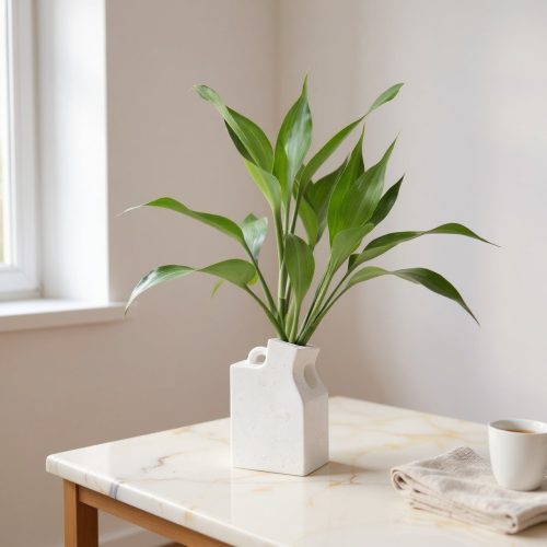 Lucky Bamboo Green Plant in Modern White Ceramic Vase